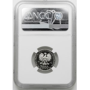 PRÓBA NIKIEL 2000 złotych 1979, Mieszko I – półpostać