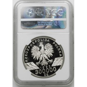 PRÓBA NIKIEL 300000 złotych 1993, Jaskółki