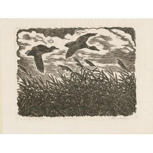 printmaking KIRILENKO Yaroslavl - Ducks. Woodcut [1956].