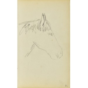 Jacek MALCZEWSKI (1854-1929), Głowa konia ujęta z prawego boku