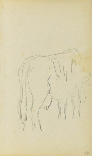 Jacek MALCZEWSKI (1854-1929), Szkic krowy widzianej z tylnego, prawego trzy-czwarte