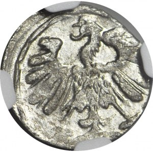 R- Sigismund II Augustus, Denar 1558, Vilnius, R2, T.8mk