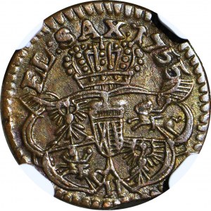 R-, August III Sas, Szeląg 1755 H, menniczy, wielka głowa