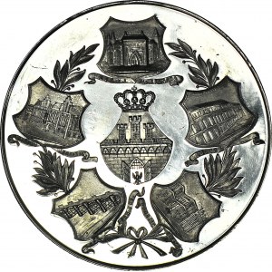 R-, Królestwo Polskie, Medal 1881, Jan Schindler, Kraków, 63,5mm