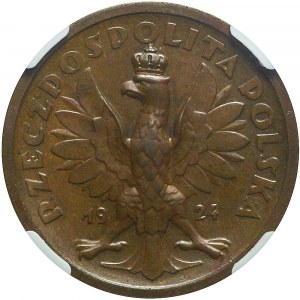 RR-, PRÓBA, 50 złotych 1924, Klęczący Rycerz, MIEDŹ