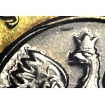 RRR-, 2 złote 2007, DESTRUKT, podwyższona korona, podwójne pióra i łapy orła + rozlany rdze