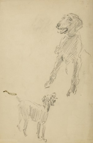 Józef Mehoffer (1869 Ropczyce - 1946 Wadowice), Szkic psa