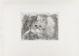 Karpiński Alfons (1875-1961), Kot, lata 20. XX w.