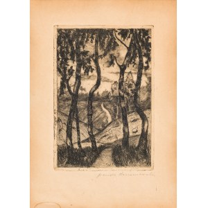 Korzeniowska Wanda (1874-1939), Pejzaż z drzewami, ok. 1913