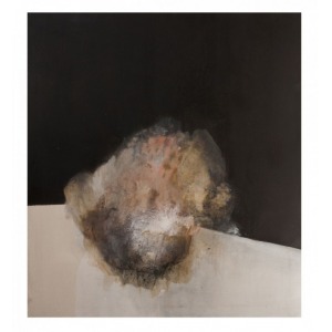 Katarzyna Kombor (1988), Explosion, z cyklu Morfogeneza (2015)