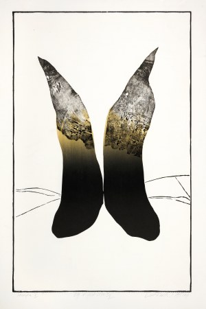 Zbigniew Lutomski, Strefa II, 1995