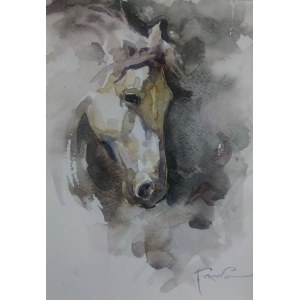 Alexander Franko, The Horse