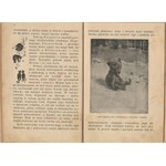 Ernest Seton Thompspn Joch dzieje małego niedźwiedzia w Parku Yellowstone