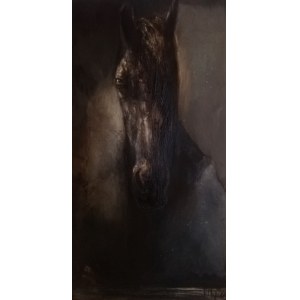 Paulina Mager, „Czarny koń”