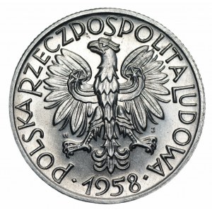 PRL - 5 złotych 1958 Rybak - WĄSKA ósemka