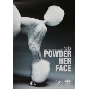 Adam Żebrowski, Powder her face, 2015