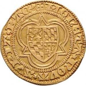 Pfalz, Ludvík III., 1410 - 1436, Goldgulden b.l., Wachenheim, stojící kníže, opis /