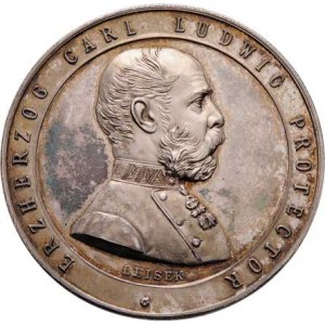 Arcivévoda Karel Ludvík, 1833 - 1896, Leisek - Elektrotechnická a hospodářská výstava 1884