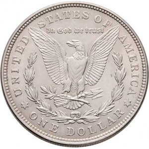 USA, Dolar 1921 - Morgan, KM.110 (Ag900), 26.792g,