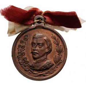 Seidan Václav, 1817 - 1870, Karel Havlíček - odhalení pamětní desky v Borové 1862