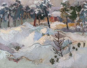 Stuchlik Zygmunt