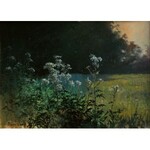 Maciej Lewik (ur.1960) Osty