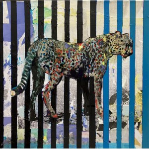 Monika Solorz, Leopard