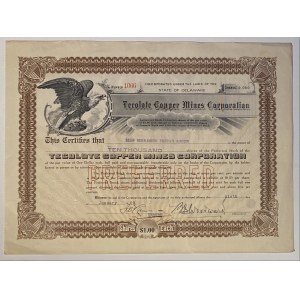 Mexico Delaware Tecolote Copper Mines Corporation Preferred Share 10000 Shares 1929