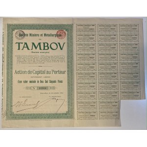 Russia Brussels Tambov Mining and Metal Company Share 250 Francs 1911