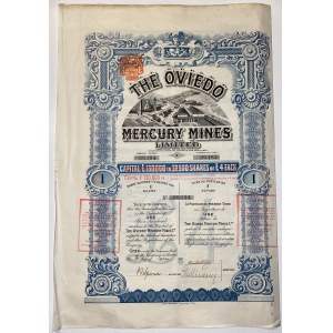 Spain London Oviedo Mercury Mines Share Warrant 1 Share 1907