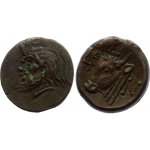 Ancient Greece Pantiapaion AE Dihalk 330 - 315 BC