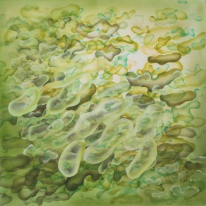 Hanna Rozpara, Chlorofil, 2016