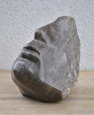 Bogusław Zen (ur. 1963), Profil - artefakt, 2020