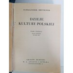 Bruckner Aleksander DZIEJE KULTURY POLSKIEJ