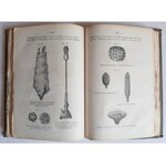 Berdau, Mineralogia i geologia 1871 r.