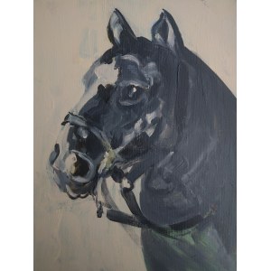 Leszek Drygalski, Horse Head.