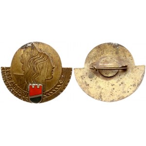 Lithuania Badge Congress of Soviet Lithuanian Women Vilnius 1965 06; you can see this badge https://www.lrt.lt...