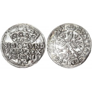 Poland 1 Grosz 1545 Krakow. Sigismund I the Old(1506–1548). Averse Lettering: SIGISMVND PRIM*REX POLONIE...