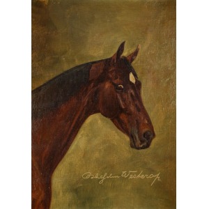 Wilhelm WESTEROP, HEAD OF THE HORSE