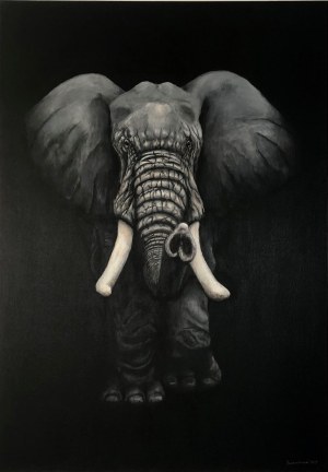 Witold Szamborski, Elephant