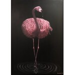 Witold Szamborski, Flamingo