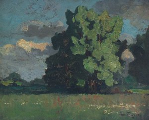 Iwan TRUSZ (1869-1940), Pejzaż z kępą drzew, ok. 1905