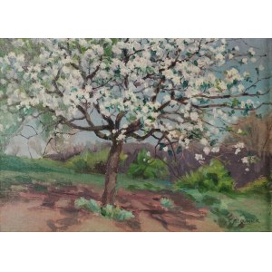 Teodor ZIOMEK (1874-1937), Albero in fiore