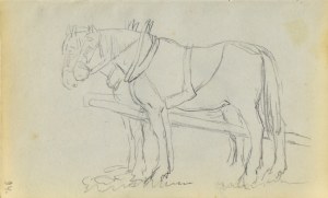 Jacek MALCZEWSKI (1854-1929), Para koni stojących w zaprzęgu