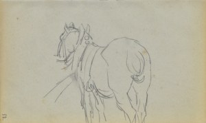 Jacek MALCZEWSKI (1854-1929), Koń w zaprzęgu widziany od zadu
