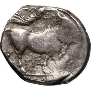 Grecja, Campania, Naples, Didrachma 300-275 BC