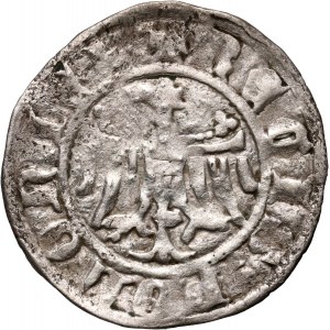 Kazimierz III Wielki 1333-1370, półgrosz, Kraków