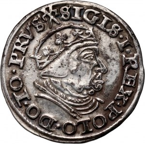 Zygmunt I Stary, trojak 1540, Gdańsk