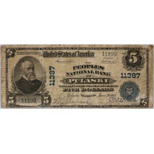 USA, National Currency, Virginia, The Peoples National Bank of Pulaski, 5 Dollars 1919