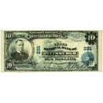 USA, National Bank of Pittsburgh, 10 Dollars 1902, series J